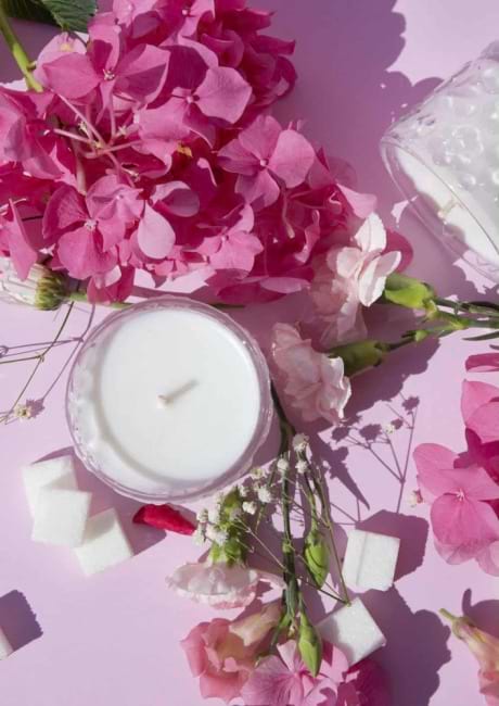 Sugared Rose