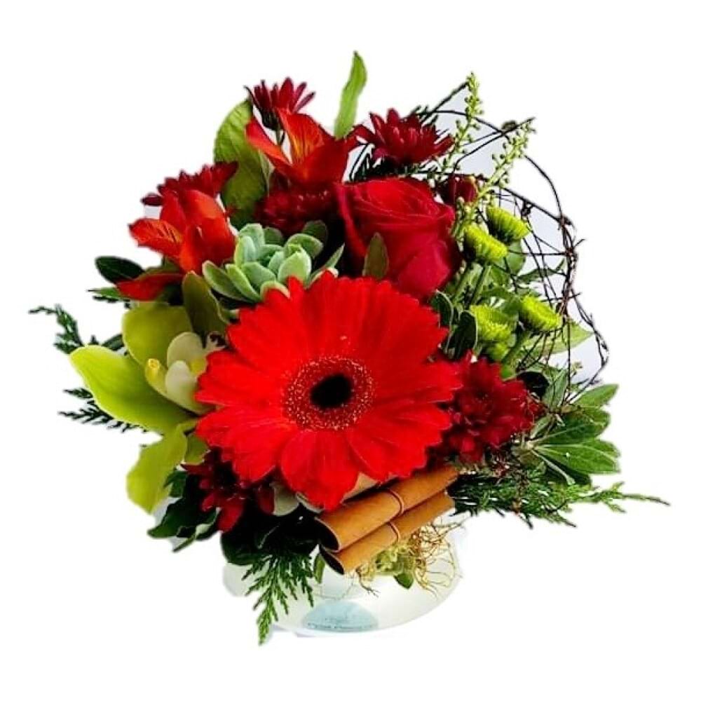 Christmas Teacup Arrangement