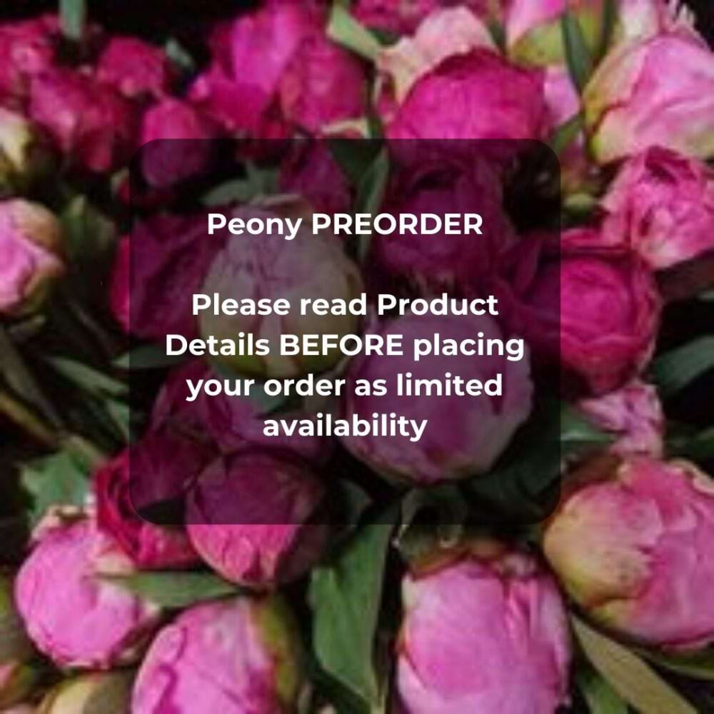 Peony Bouquet 